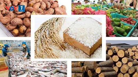 Xuất khẩu nông sản – điểm sáng trong bức tranh kinh tế (14/11/2025)