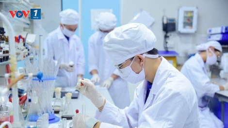 Cơ chế, chính sách thu hút chuyên gia khoa học, công nghệ, đổi mới sáng tạo và chuyển đổi số