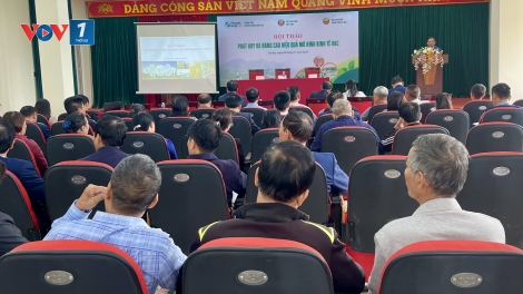 Phát huy hiệu quả kinh tế VAC – Hướng tới nền nông nghiệp xanh, đa giá trị