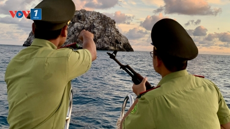 Đề xuất sắp xếp lại các tổ chức Kiểm lâm phù hợp tại Đặc khu Côn Đảo