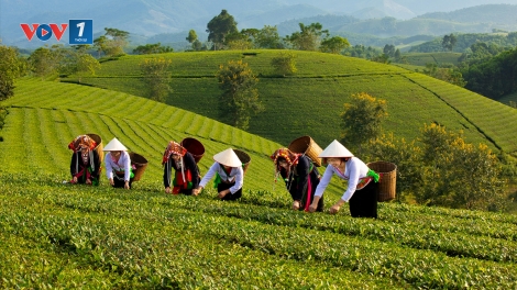 Chuyển dịch cơ cấu du lịch theo hướng gắn với thế mạnh nông nghiệp địa phương