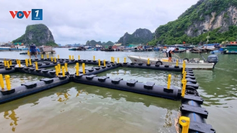 Nuôi trồng thủy sản thích ứng với thiên tai (01+02/12/2025)