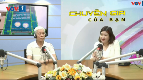 Máy cứu ngải - giải pháp hỗ trợ chữa bệnh hiệu quả