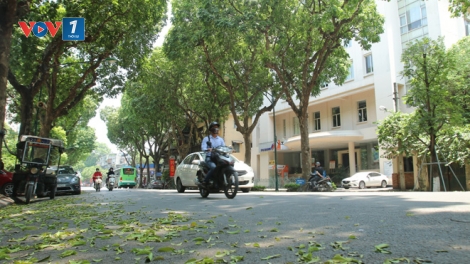 Thời tiết ngày 11/11/2025: Bắc Bộ mưa giảm, trưa và chiều trời hửng nắng