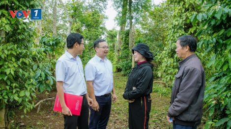 Theo dòng thời sự sáng 4/11/2025