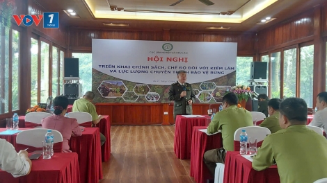 Triển khai chính sách, chế độ  đối với kiểm lâm và lực lượng chuyên trách bảo vệ rừng 
