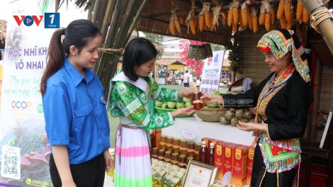 Gỡ khó cho tiêu thụ cho sản phẩm miền núi