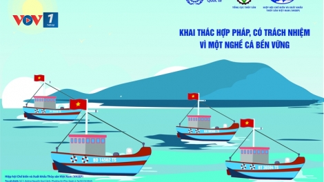 Nỗ lực chống khai thác thủy sản bất hợp pháp vì một nghề cá có trách nhiệm