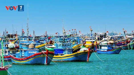 Kiến thức giúp ngư dân vươn khơi khi có gió mùa