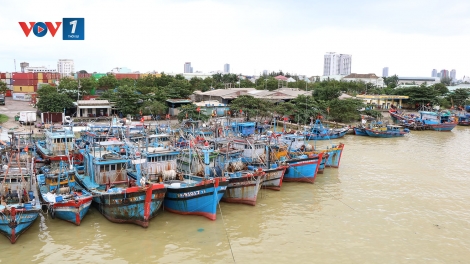 Ngư dân Đà Nẵng nhanh chóng đưa tàu thuyền đi trú bão
