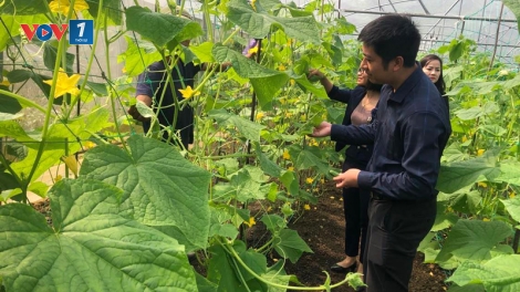  Hà Nội ưu tiên đầu tư phát triển vùng đồng bào dân tộc thiểu số