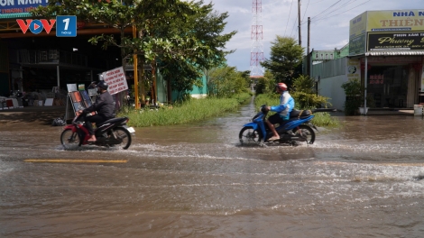 Dự báo xuất hiện kỳ triều cường cao nhất năm, Cà Mau vận hành toàn bộ hệ thống cống, đập ứng phó