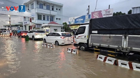  Vĩnh Long: Cảnh báo đỉnh triều cường cao nhất trong ngày 18/11