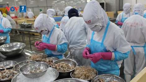 Tận dụng EVFTA: Cơ hội để doanh nghiệp Việt vượt thách thức thuế đối ứng