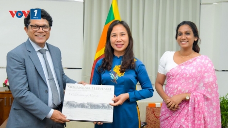 Sri Lanka chia sẻ với Việt Nam về những thiệt hại do bão lụt