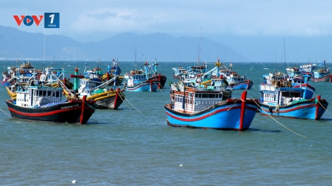 Gỡ thẻ vàng thủy sản-Quyết liệt trong quản lý tàu cá