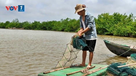 Hiệu quả mô hình thủy sản dưới tán rừng ngập mặn ở Ninh Bình (04/11/2025)