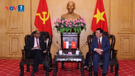 Ông Nguyễn Xuân Thắng tiếp và làm việc với Đại sứ Singapore và Đại sứ Ireland tại Việt Nam
