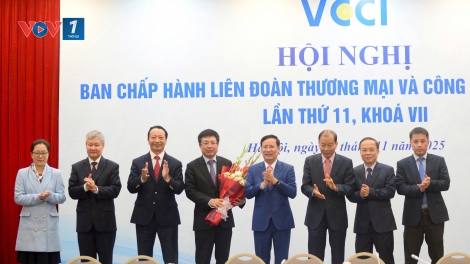 Ông Hồ Sỹ Hùng được bầu làm Chủ tịch VCCI