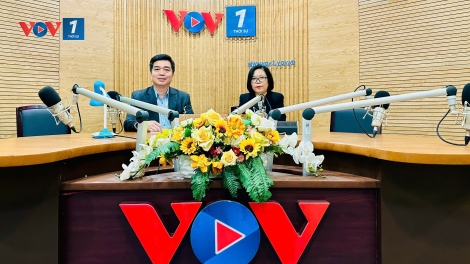 Bệnh giun đũa ở chó mèo – Nguy cơ lây nhiễm và giải pháp phòng ngừa.