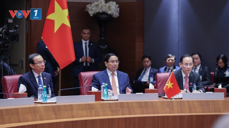 Nâng cấp quan hệ Việt Nam- Algeria lên Đối tác Chiến lược