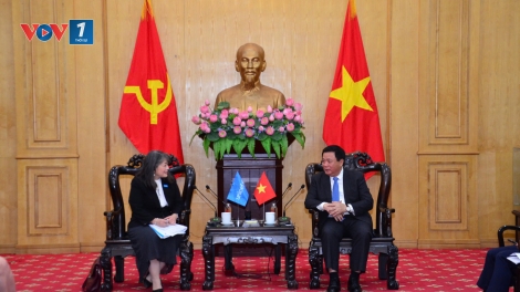 Ông Nguyễn Xuân Thắng tiếp Giám đốc UNICEF khu vực Đông Á và Thái Bình Dương và Đại sứ Ấn Độ