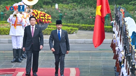 Chủ tịch nước Lương Cường chủ trì lễ đón cấp Nhà nước Quốc vương Brunei