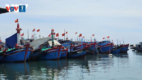 Quảng Ngãi siết chặt quản lý tàu cá thi hành án, ngăn nguy cơ vi phạm IUU