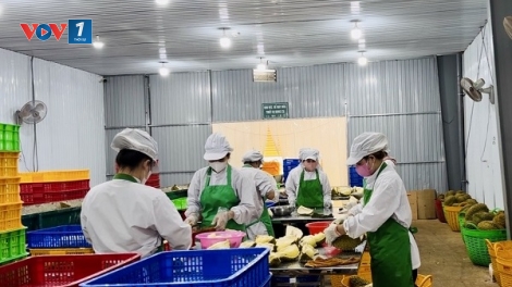 Bài 2 loạt bài “Nông nghiệp Việt Nam: Tái cấu trúc tư duy kinh tế” (30/12/2025)