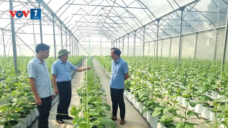 Nâng cao vai trò kết nối của HTX trong thực thi chính sách, xây dựng nông thôn mới (28/12/2025)