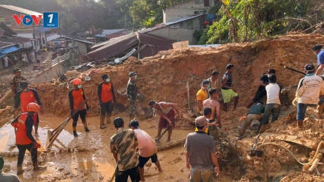 Thảm họa lũ lụt tại Indonesia và lời kêu gọi về việc cần bảo vệ rừng