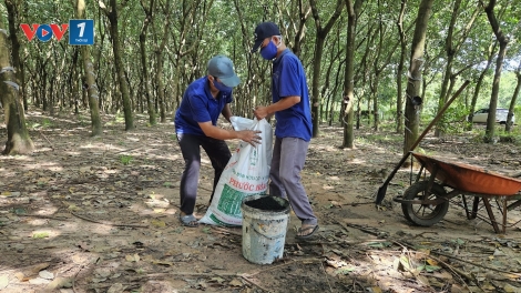 Đảng ủy VRG dẫn dắt xanh hóa sản xuất, phát triển bền vững