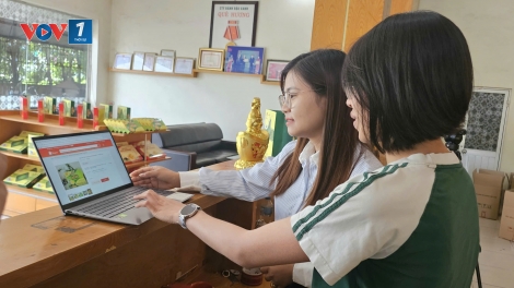 Hướng tới xuất khẩu bền vững qua thương mại điện tử xuyên biên giới