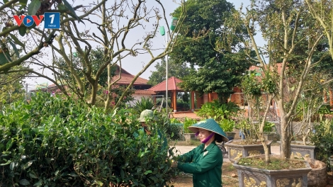 Động lực phát triển cây chè ở tỉnh Thái Nguyên đạt 1 tỷ đô la