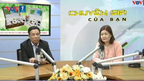 Tại sao ngày càng nhiều người sử dụng phương pháp cứu ngải để phòng và chữa bệnh?