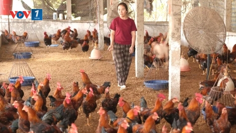 Bắc Ninh: không để công tác giảm nghèo gián đoạn sau sáp nhập