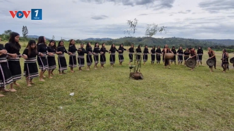 Theo dòng thời sự sáng 7/12/2025