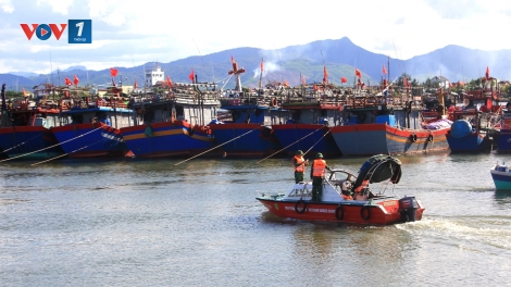 Xây dựng phần mềm nhắc nhở ngư dân bổ sung giấy tờ cho tàu cá trước khi ra khơi