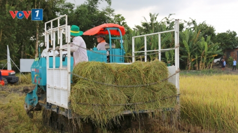 Nông nghiệp Việt Nam - kiến tạo tương lai xanh (29/11/2025)