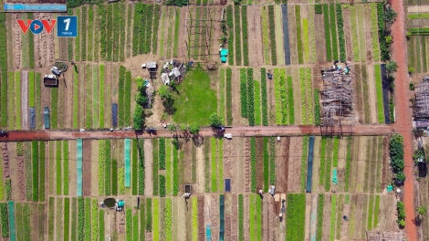 Nâng cao vai trò kết nối của HTX trong việc thực thi chính sách (09/12/2025)