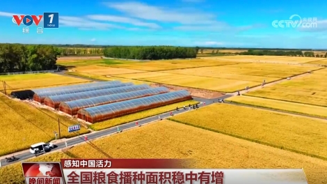Sản lượng lương thực của Trung Quốc năm 2025 đạt mức cao kỷ lục