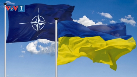 Ukraine có thể từ bỏ mục tiêu gia nhập NATO – tìm kiếm lối thoát cho xung đột
