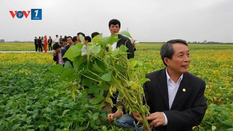 Hợp tác xã là cầu nối giúp nông dân tham gia chuỗi liên kết (05/12/2025)