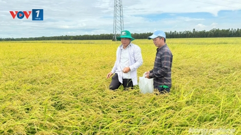 An Giang tăng cường giảm nghèo bền vững vùng biên