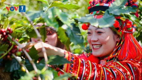 Hướng tới trang trại nông nghiệp xanh, bền vững và hiệu quả (10/12/2025)