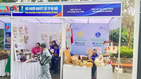 ILO đánh giá cao nỗ lực đảm bảo an sinh xã hội cho người khuyết tật tại Việt Nam