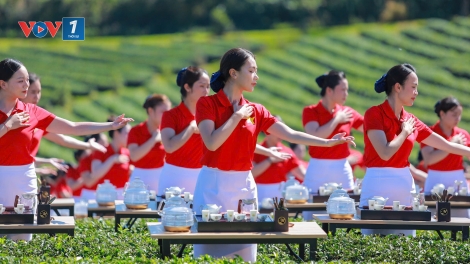 Khai mạc Lễ hội Trà Quốc tế: Quảng bá thương hiệu trà Việt, thúc đẩy hợp tác toàn cầu