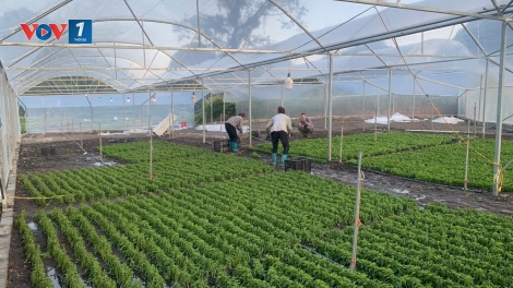 Phát triển kinh tế hợp tác xã là động lực cải thiện sinh kế người dân (04/12/2025)