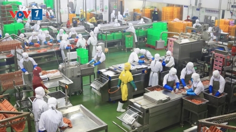 Phát triển nông nghiệp gắn với chế biến (05/12/2025)