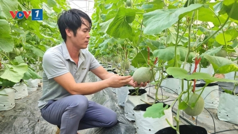 Nghệ An ứng dụng chuyển đổi số trong sản xuất nông nghiệp giảm nghèo bền vững